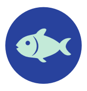 Pescado Pescado