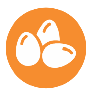 Huevos Huevos